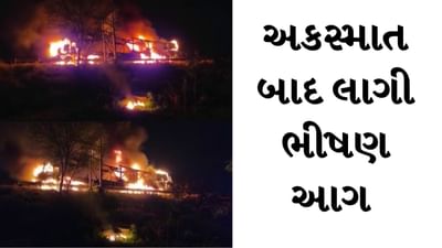 Breaking News : એક્સપ્રેસ -વે પર બે ટ્રક વચ્ચે ગમખ્વાર અકસ્માત, 2 ટ્રક બળીને ખાખ, જુઓ Video