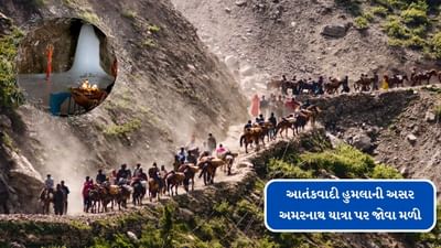 Breaking News : પહેલગામ આતંકવાદી હુમલાની અસર અમરનાથ યાત્રા પર જોવા મળી, રજિસ્ટ્રેશનમાં ઘટાડો જોવા મળ્યો