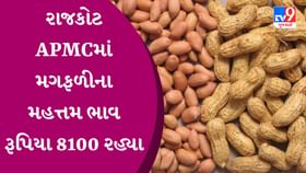 APMC Rates : રાજકોટ APMCમાં મગફળીના મહત્તમ ભાવ રૂપિયા 8100 રહ્યા APMC Rates : રાજકોટ APMCમાં મગફળીના મહત્તમ ભાવ રૂપિયા 8100 રહ્યા