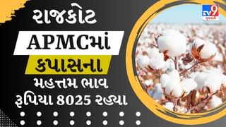 APMC Market Rates : રાજકોટ APMCમાં કપાસના મહત્તમ ભાવ રૂપિયા 8025 રહ્યા, જાણો જુદા-જુદા પાકના ભાવ