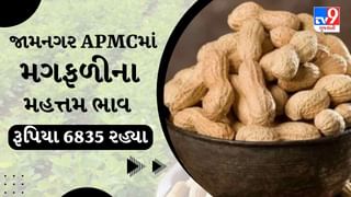 APMC Market Rates : જામનગર APMCમાં મગફળીના મહત્તમ ભાવ રૂપિયા 6835 રહ્યા, જાણો જુદા-જુદા પાકના ભાવ