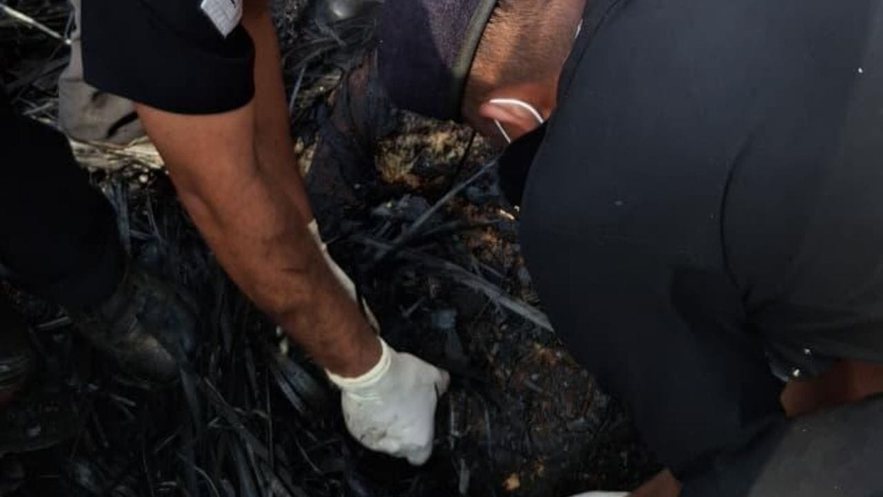 નોંધનીય છે કે ગુરુવારે બપોરે ગુજરાતના અમદાવાદમાં એર ઇન્ડિયાનું વિમાન ક્રેશ થયું હતું. વિમાન દુર્ઘટના બાદ, ભારતીય સશસ્ત્ર દળોની ટીમોને તાત્કાલિક રાહત અને બચાવ કામગીરી માટે મોકલવામાં આવી હતી. આ ઉપરાંત, NDRF અને અન્ય એજન્સીઓ પણ પ્રારંભિક રાહત કામગીરી માટે સશસ્ત્ર દળો સાથે ઘટનાસ્થળે પહોંચી હતી.