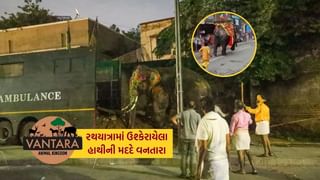 અમદાવાદ રથયાત્રામાં ઉશ્કેરાયેલા હાથીની મદદે વનતારા, પશુ ચિકિત્સક અને પશુ નિષ્ણાતે પૂરી પાડી સેવા…જુઓ Video
