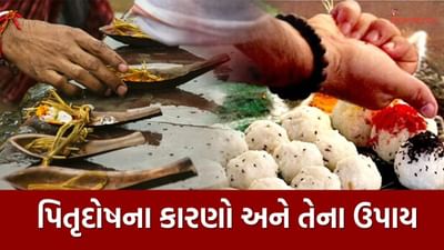 પિતૃદોષથી બચવા માટે તમારા માટે એ જાણવું મહત્વપૂર્ણ છે કે કયા કાર્યો પિતૃદોષનું કારણ બને છે. આ ઉપરાંત, શ્રાદ્ધ પક્ષ શરૂ થાય તે પહેલાં, તેના લક્ષણો શું છે અને તેનાથી બચવા માટે કયા પગલાં લેવા જોઈએ, તે પણ તમારે જાણવું જોઈએ.