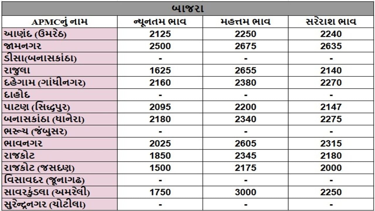 બાજરાના તા.15-06-2025ના રોજ APMCના ભાવ રૂ.1500 થી 3000 રહ્યા.