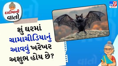 દાદીમાની વાત: ભારતીય પરંપરા અને લોકપ્રિય માન્યતામાં પ્રાણીઓ અને પક્ષીઓની પ્રવૃત્તિઓ ઘણીવાર શુભ કે અશુભ સંકેતો સાથે સંકળાયેલી હોય છે. આ જૂની માન્યતાઓમાંની એક એવી છે કે જો ચામાચીડિયા ઘરમાં પ્રવેશ કરે છે, તો તે કોઈ દુર્ભાગ્ય અથવા મુશ્કેલીનો સંકેત હોઈ શકે છે. દાદીમા ઘણીવાર આવી વાતો ખૂબ જ વિશ્વાસ સાથે કહે છે, પરંતુ શા માટે? આ માન્યતા પાછળ ઘણા સામાજિક, સાંસ્કૃતિક અને માનસિક કારણો છે.