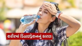ખાવાની વસ્તુમાં એક ભૂલ શરીરમાં ડિહાઇડ્રેશનનું બની શકે કારણ ખાવાની વસ્તુમાં એક ભૂલ શરીરમાં ડિહાઇડ્રેશનનું બની શકે કારણ