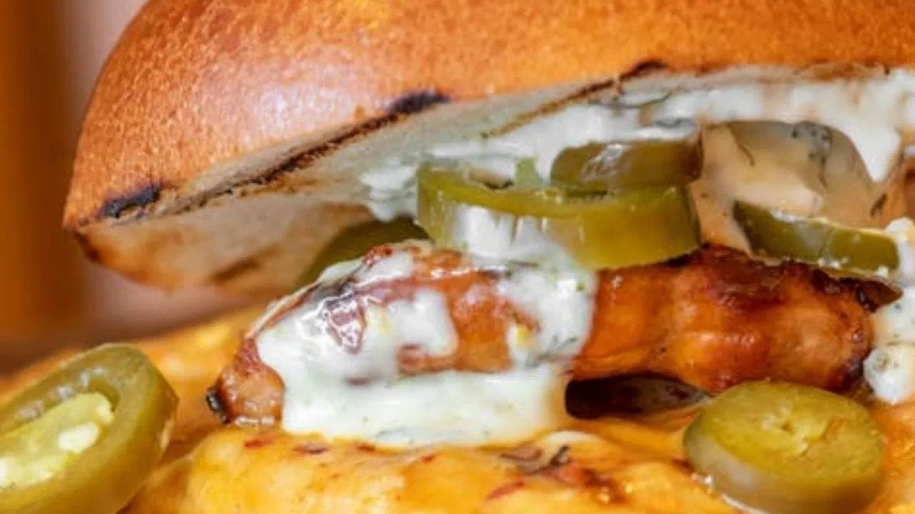 ઉનાળામાં બર્ગર, સમોસા અને ફ્રેન્ચ ફ્રાઈસ જેવા તળેલા ખોરાક ન ખાવા જોઈએ. કારણ કે આ તેલયુક્ત ખોરાક છે અને તેમાં મીઠાનું પ્રમાણ પણ વધુ હોય છે, જેના કારણે તે ડિહાઇડ્રેશનની સમસ્યામાં વધારો કરે છે. (Credit: Pexels)