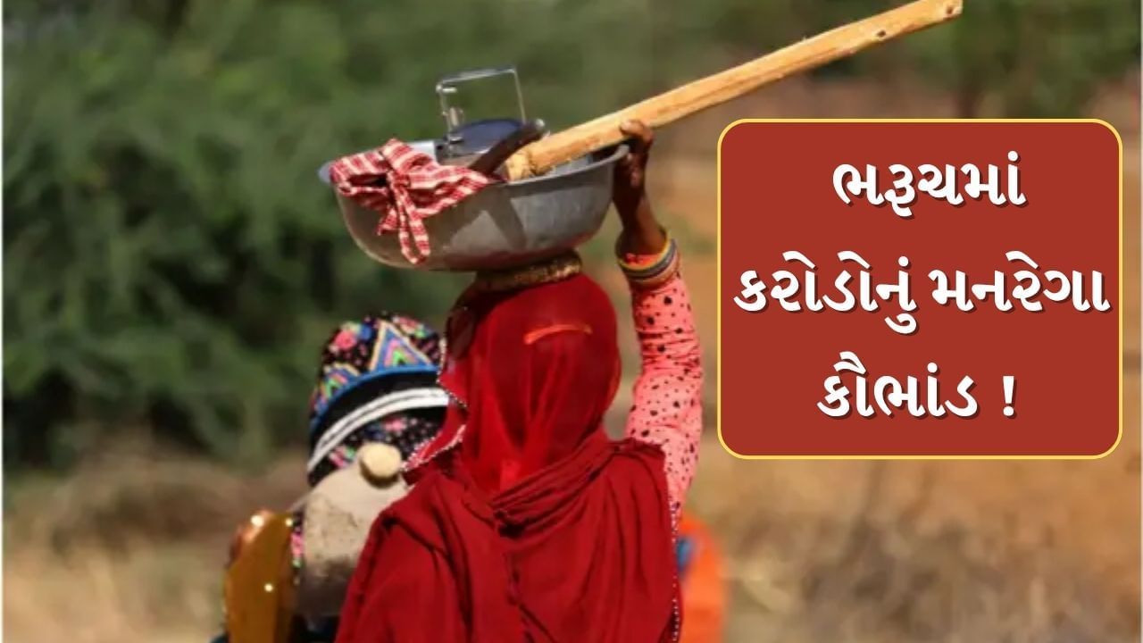 દાહોદ બાદ ભરૂચમાં પણ મનરેગા કૌભાંડ ! 56 ગામમાં 7.30 કરોડનું કૌભાંડ થયાનો  આરોપ, જુઓ Video