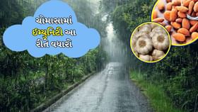 Boost Immunity: ચોમાસામાં આ 7 ફુડને રોજ ડાયટમાં ઉમેરો Boost Immunity: ચોમાસામાં આ 7 ફુડને રોજ ડાયટમાં ઉમેરો