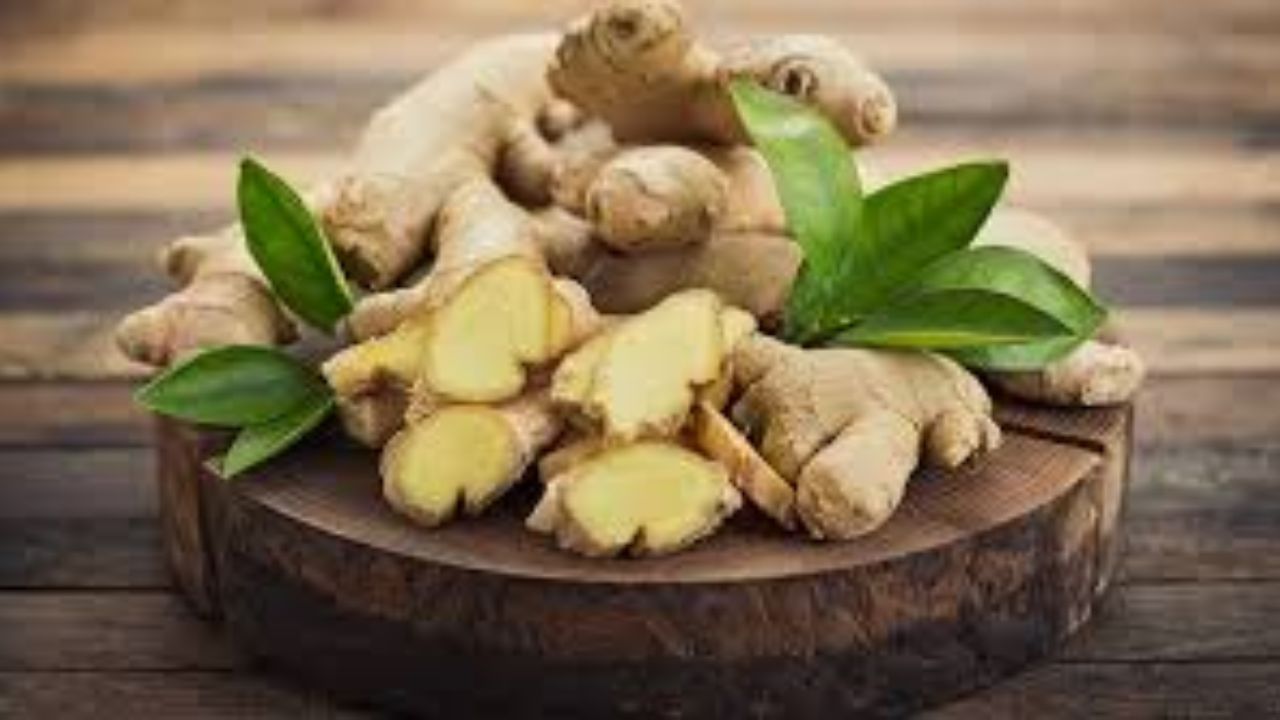 આદુમાં એન્ટી-બેક્ટેરિયલ, એન્ટી-વાયરલ અને એન્ટી-ઇન્ફ્લેમેટરી ગુણ હોય છે. દિલ્હીની સફદરજંગ હોસ્પિટલના આયુર્વેદિક વિભાગના ડૉ. વિનય રંજન કહે છે કે આદુનો ઉપયોગ ગળામાં દુખાવો, શરદી, ઉધરસ અને પાચન સમસ્યાઓની સારવારમાં ફાયદાકારક સાબિત થઈ શકે છે. આદુ શરીરને ગરમ રાખે છે અને ચેપને પણ અટકાવી શકે છે.
કેવી રીતે ઉપયોગ કરવો?: આદુની ચા પીઓ. તમે શાકભાજી અથવા દાળમાં આદુ ઉમેરી શકો છો. તમે આદુનો રસ મધ સાથે પી શકો છો.