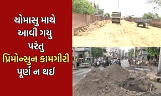 વડોદરામાં અનેક રસ્તાઓ પર ખાડા અને ભૂવાનું સામ્રાજ્ય, બેરિકેડ મુકી સંતોષ માનતી મનપા- Video