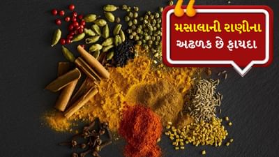 ગ્વાટેમાલા અને ભારત બે એવા દેશો છે જે વિશ્વમાં સૌથી વધુ એલચી ઉગાડવા માટે જાણીતા છે. ગ્વાટેમાલામાં ફક્ત નાની એલચી ઉગાડવામાં આવે છે, પરંતુ ભારતમાં નાની અને મોટી બંને એલચી ઉગાડવામાં આવે છે. ભારતીય એલચીની વિશ્વમાં સૌથી વધુ માગ છે. ભારતે વર્ષ 2023 માં 6,536,150 કિલો એલચી નિકાસ કરી હતી. જાણો શા માટે ભારતીય એલચીને મસાલાઓની રાણી કહેવામાં આવે છે. (ફોટો: Science Photo Library/Getty Images)