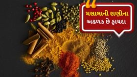 ભારતના આ મસાલાનો આખી દુનિયામાં વાગે છે ડંકો ભારતના આ મસાલાનો આખી દુનિયામાં વાગે છે ડંકો
