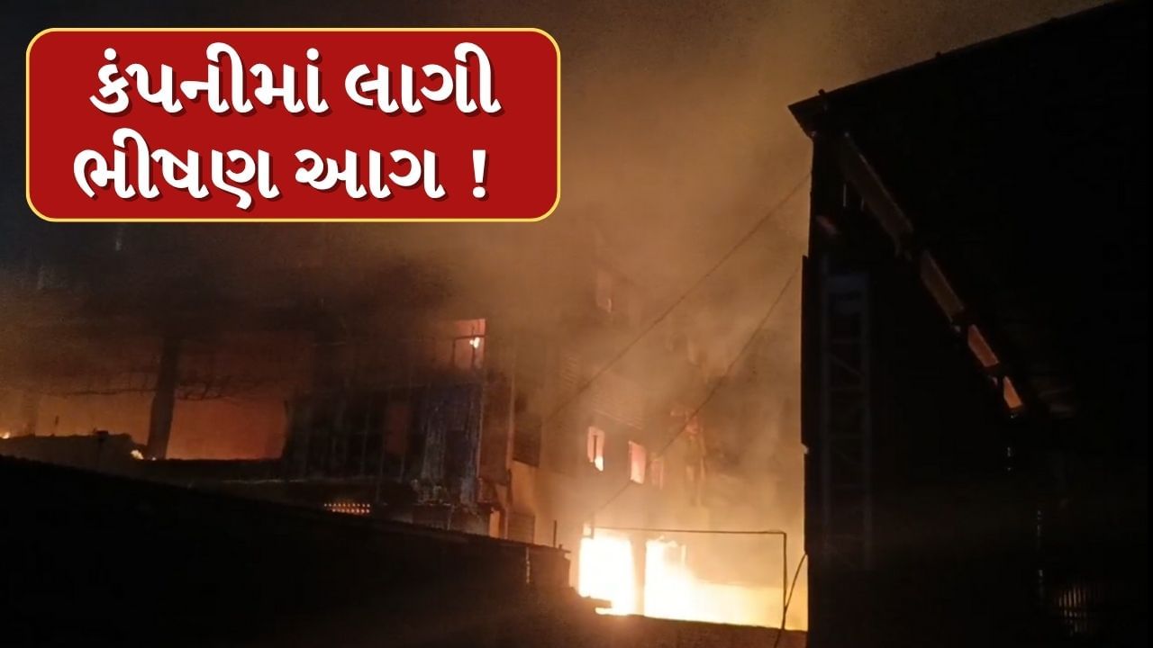 Breaking News : પાનોલી GIDCમાં લાગી ભીષણ આગ, 5 ફાયર વિભાગની ટીમ ઘટના સ્થળે, જુઓ Video
