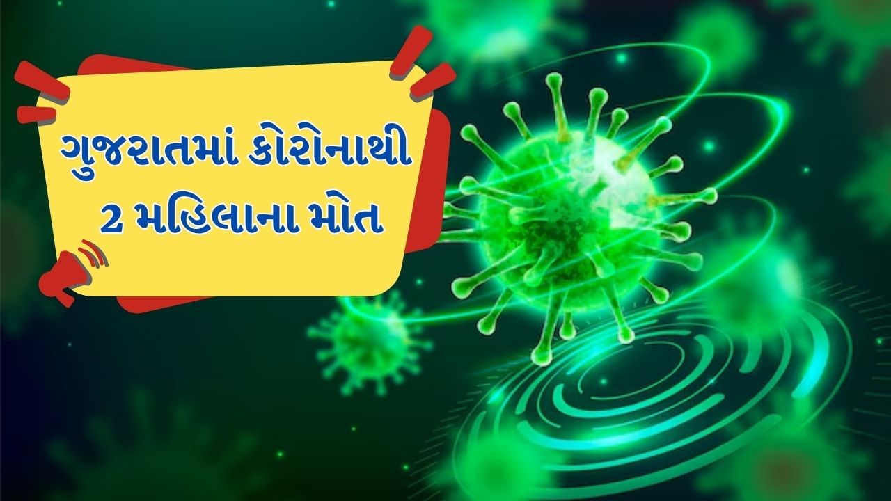 Breaking News : ગુજરાતમાં એક જ હોસ્પિટલમાં Coronaથી બેનાં મોત, અમદાવાદ, રાજકોટ, સુરત, ગાંધીનગરમાં કેસ વધ્યા