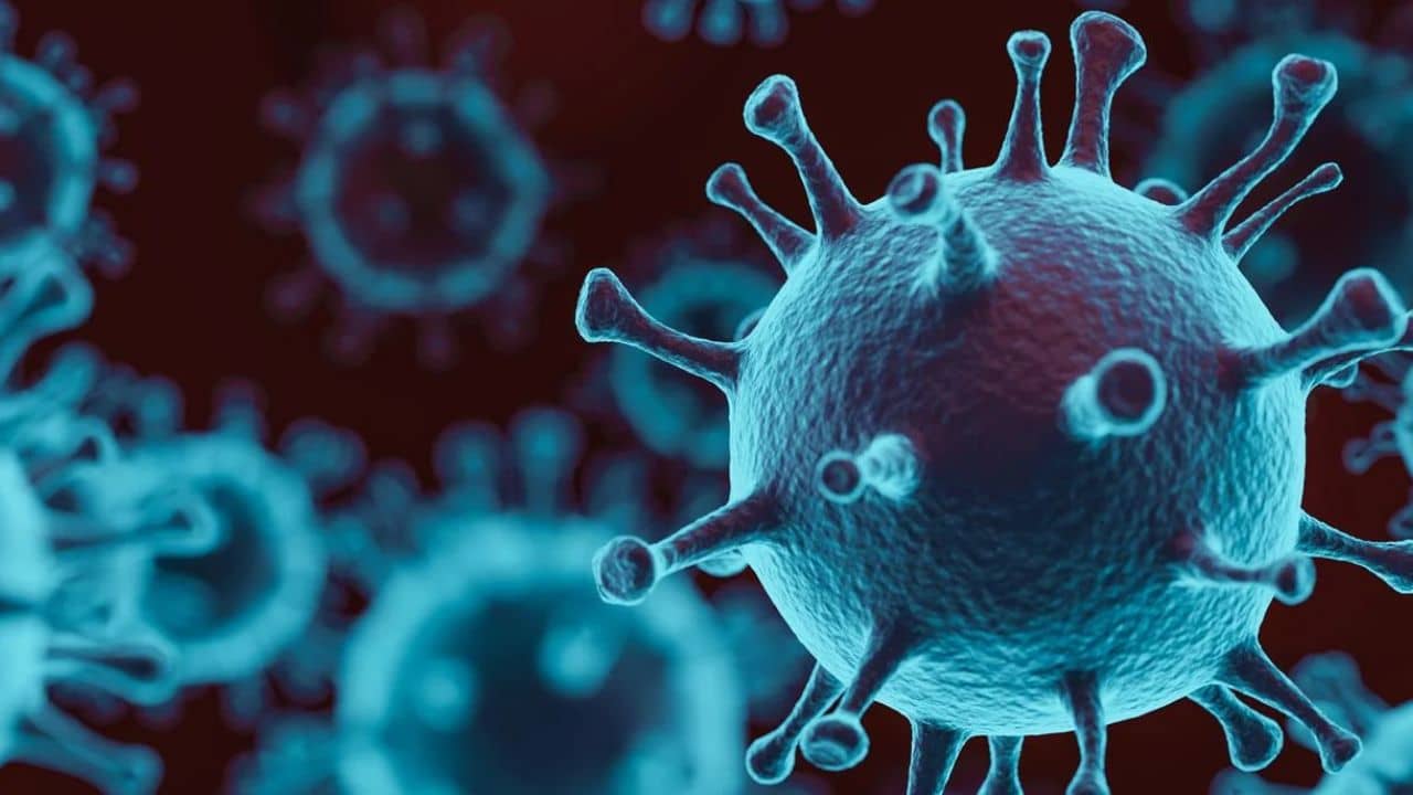 Breaking News : રાજકોટમાં કોરોનાના કેસમાં વધારો ! 105 એક્ટિવ કેસ નોંધાયા, 51 સારવાર હેઠળ, જુઓ Video