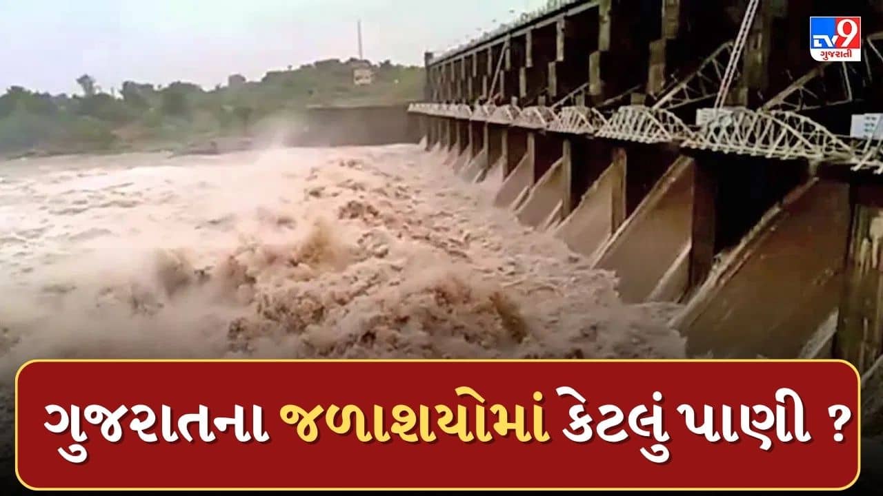 Rain News : ચોમાસાની શરુઆતમાં ગુજરાતમાં વરસ્યો ધોધમાર વરસાદ, રાજ્યના જળાશયોમાં 45.80 ટકા પાણીનો થયો સંગ્રહ, જુઓ Video
