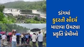 ડાંગમાં કુદરતી સૌદર્યની મજા માણવા ઉમટ્યા પ્રકૃતિપ્રેમીઓ- જુઓ Video ડાંગમાં કુદરતી સૌદર્યની મજા માણવા ઉમટ્યા પ્રકૃતિપ્રેમીઓ- જુઓ Video