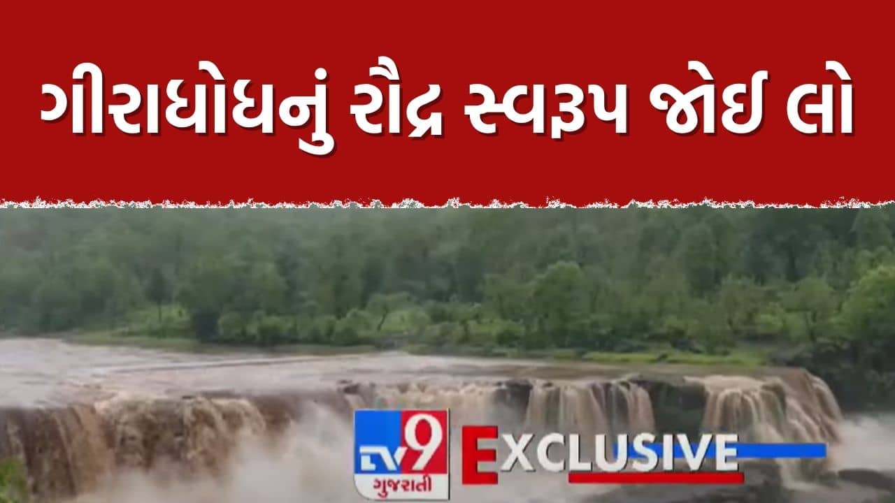 Breaking News : ડાંગમાં ધોધમાર વરસાદ, ગીરાધોધ રૌદ્ર સ્વરૂપે, પ્રવાસીઓ માટે લાગ્યો પ્રતિબંધ, જુઓ Video