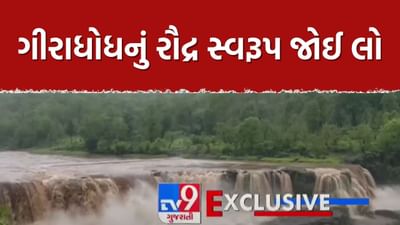 Breaking News : ડાંગમાં ધોધમાર વરસાદ, ગીરાધોધ રૌદ્ર સ્વરૂપે, પ્રવાસીઓ માટે લાગ્યો પ્રતિબંધ, જુઓ Video Breaking News : ડાંગમાં ધોધમાર વરસાદ, ગીરાધોધ રૌદ્ર સ્વરૂપે, પ્રવાસીઓ માટે લાગ્યો પ્રતિબંધ, જુઓ Video