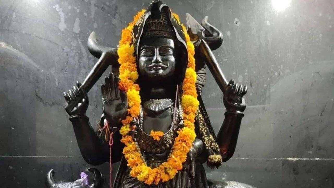 પૂજામાં પીપળાના ઝાડની પ્રદક્ષિણા કરવાનો નિયમ છે. ઘરમાં પીપળાના મૂળમાં ચઢાવેલું પાણી ઘરની અંદર છાંટવાથી શનિદેવના આશીર્વાદ મળે છે અને ઘરમાંથી નકારાત્મકતા પણ દૂર થાય છે.