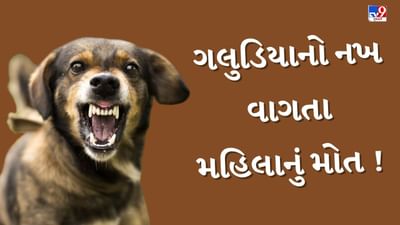 Mehsana : ગલુડિયાનો નખ વાગતા મહિલાને થયો હડકવા, 44 વર્ષીય મહિલાનું મોત, જુઓ Video