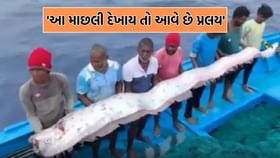 આ માછલી દેખાય તો આવે છે પ્રલય,તમિલનાડુના દરિયાકિનારેથી મળી ડુમ્સડે ફિશ આ માછલી દેખાય તો આવે છે પ્રલય,તમિલનાડુના દરિયાકિનારેથી મળી ડુમ્સડે ફિશ
