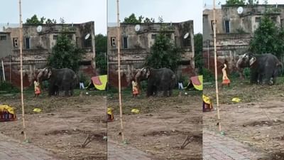 Ahmedabad : ગજરાજને નિર્દયતાથી માર મારનાર મહાવત સામે પોલીસ ફરિયાદ, જુઓ Video