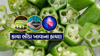 આપણે બધા ભીંડાનું શાક બનાવીને ખાઈએ છીએ, પણ શું તમે જાણો છો કે કાચા ભીંડા ખાવાથી પણ ઘણા સ્વાસ્થ્ય લાભ થાય છે. 