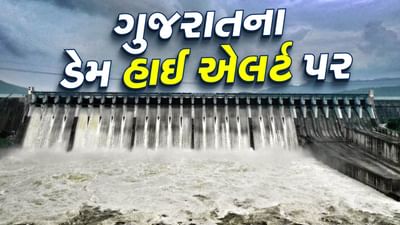Monsoon 2025 : ગુજરાતના 11 ડેમ હાઈ એલર્ટ પર, નર્મદા ડેમમાં પાણીની થઈ આવક, જુઓ Video