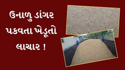 Navsari : ખેડૂતોને પડ્યા પર પાટુ જેવી સ્થિતિ, ડાંગરમાં ભેજનાં નામે સસ્તા ભાવે માલ પડાવવાનો વેપારીઓ પર આક્ષેપ, જુઓ Video