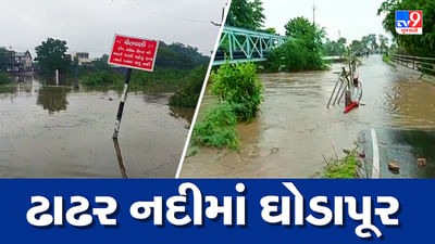 Rain News : ડભોઈ પંથકમાં ખાબક્યો ધોધમાર વરસાદ, તાલુકાના 8 ગામ સંપર્ક વિહોણા,જુઓ Video