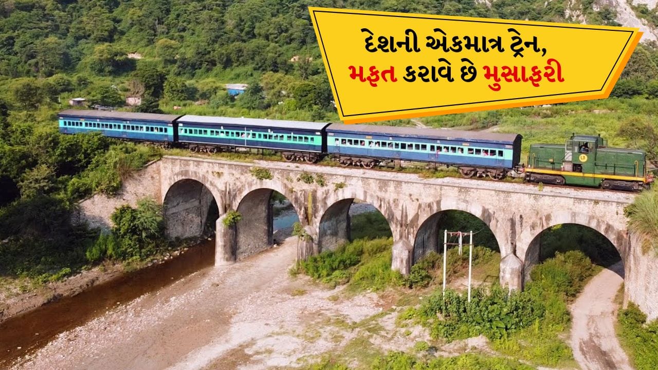 ટ્રેનમાં મુસાફરી માટે ટિકિટ જરૂરી છે: ભારતમાં વિશ્વનું સૌથી મોટું રેલ નેટવર્ક છે અને અહીં દરરોજ 13,000થી વધુ ટ્રેનો દોડે છે. જે મુસાફરોને તેમના ગંતવ્ય સ્થાન સુધી લઈ જાય છે અને પરંતુ ટ્રેનમાં મુસાફરી કરવા માટે ટિકિટ હોવી જરૂરી છે. ટિકિટ વિના મુસાફરી કરવાથી ભારે દંડ થઈ શકે છે.
