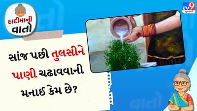 સાંજે તુલસીને પાણી કેમ ન આપવું જોઈએ?: હિન્દુ ધર્મમાં તુલસીને દેવી લક્ષ્મીનું સ્વરૂપ માનવામાં આવે છે. તુલસી માતાની પૂજા ખાસ કરીને સૂર્યોદય સમયે કરવામાં આવે છે, જ્યારે વાતાવરણ શુદ્ધ હોય છે. સાંજનો સમય "રાત્રિનું આગમન" માનવામાં આવે છે અને આ સમય પૂજા કે પવિત્ર કાર્યો માટે આદર્શ માનવામાં આવતો નથી. 
