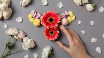 ગર્ભાશયની બંને બાજુના ગોળાકાર અવયવોને અંડાશય કહેવામાં આવે છે. અંડાશય ગર્ભાશયનો એક ભાગ છે અને તેના વગર સ્ત્રી ગર્ભ ધારણ કરી શકતી નથી. આ અંડાશયમાં ફોલ્લો અથવા ગઠ્ઠો બની શકે છે. આ ગઠ્ઠો પ્રવાહીથી ભરેલો હોય છે જે ગર્ભાશયને લગતી ઘણી અન્ય સમસ્યાઓનું કારણ બને છે.