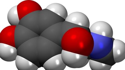 લાઈફસ્ટાઈલમાં વધી રહેલા તણાવ અને ફાસ્ટફુડથી અનેક સમસ્યાઓ થાય છે. આનાથી શરીરના હોર્મોનમાં અસંતુલન વધી જાય છે. જે ફર્ટીલિટીથી લઈ પીરિયડ સાઈકલને પ્રભાવતિ કરે છે. પ્રોલેક્ટિનનું ઉંચુ સ્તર આ સમસ્યાઓનું મુખ્ય કારણ સાબિત થઈ શકે છે. જે મહિલાઓ પ્રેગ્નેન્ટ હોતી નથી.  તેનામાં આ સ્તર ઓછું જોવા મળે છે. તો ચાલો જાણીએ પ્રોલેક્ટિનનું ઉંચુ સ્તર ક્યા પ્રકારના પીરિયડ્સ સાઈકલને બનાવે છે અનિયમિત