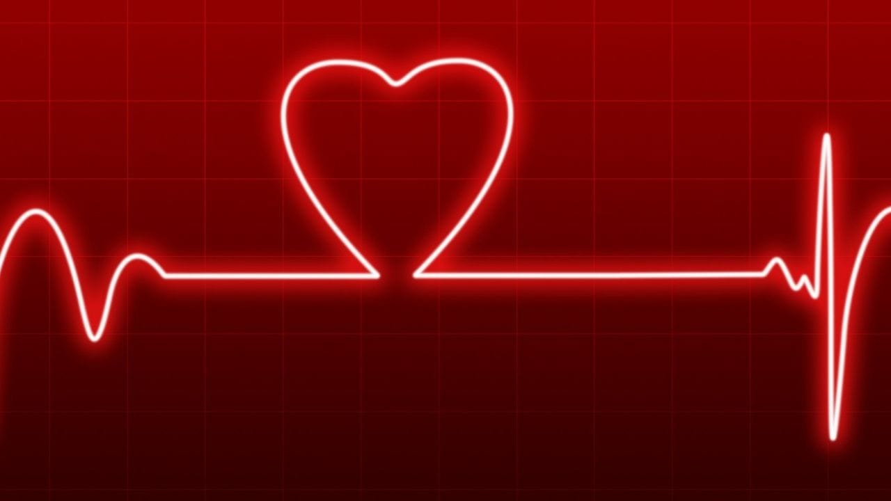 નોંધ : અહીં આપવામાં આવેલી માહિતી ફક્ત આપની જાણકારી માટે છે. કોઈ પણ ઈલાજ કરતાં પહેલા કે,અમલમાં લેતા પહેલા નિષ્ણાતોની સલાહ લેવી જરુરી છે. ( all photo:canva)