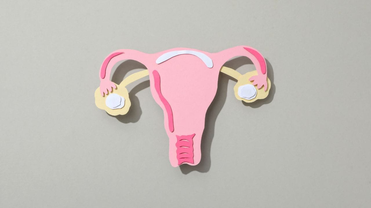 આ ગાંઠ ધીમે ધીમે વધે છે.મોટાભાગની મહિલાઓ સ્થૂળતાની સમસ્યાથી પરેશાન હોય છે. ત્યારે શરીરમાં વધારે ફેટ હોવાના કારણે શરીરમાં એસ્ટ્રોજન હોર્મોન્સ વધવા લાગે છે. જેના કારણે મહિલાઓને ફાઈબ્રોયડ્સની સમસ્યા થઈ શકે છે.