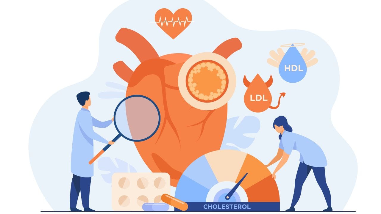 ડોક્ટર જણાવે છે કે, મેનોપોઝ બાદ મહિલાઓમાં મેટાબોલિઝ્મ પણ ધીમું થઈ શકે છે. આનાથી મહિલાઓ મેદસ્વીતાનો શિકાર બને છે.જે હૃદય રોગ માટે એક મોટું જોખમ પરિબળ છે. આ ઉપરાંત, 50 વર્ષની ઉંમર પછી, સ્ત્રીઓને કોલેસ્ટ્રોલ વધવાની અને હૃદયની નસોમાં બ્લોકેજની સમસ્યાનો પણ સામનો કરવો પડે છે. આ બંને હાર્ટ એટેકનું કારણ પણ બની શકે છે.