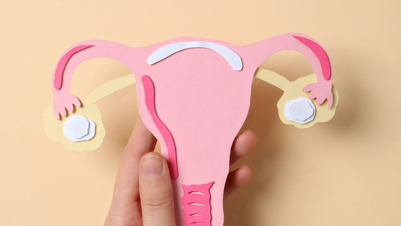 આજકાલની અનહેલ્ધી લાઈફસ્ટાઈલ ,ફિઝિકલ એક્ટિવિટી ન કરવી તેમજ વધારે સ્ટ્રેસમાં રહેવાના કારણે મહિલાઓના શરીરમાં કોર્ટિસોલ હોર્મોન્સ કે અન્ય હોર્મોન્સ અસંતુલિત થવાની સમસ્યા થાય છે. સાથે મેટાબોલિઝ્મ સ્લો થવાની સમસ્યા થાય છે. આ કારણે ફાઈબ્રોડ્સની સમસ્યા કે તેની સાથે જોડાયેલી અન્ય સમસ્યાઓનો સામનો કરવો પડી શકે છે.