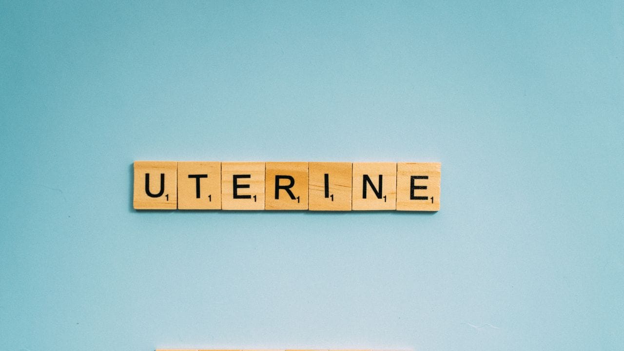 નોંધ : અહીં આપવામાં આવેલી માહિતી ફક્ત આપની જાણકારી માટે છે. કોઈ પણ ઈલાજ કરતાં પહેલા કે,અમલમાં લેતા પહેલા નિષ્ણાતોની સલાહ લેવી જરુરી છે. ( all photo:canva)