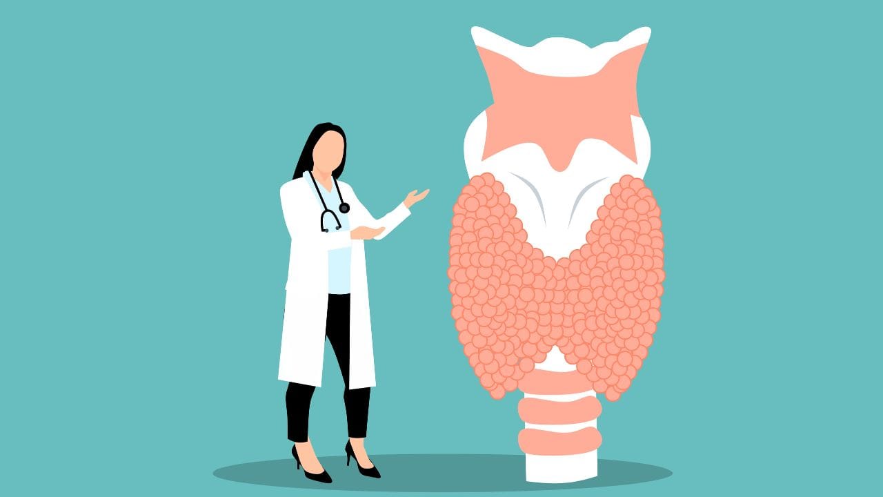 નોંધ : અહીં આપવામાં આવેલી માહિતી ફક્ત આપની જાણકારી માટે છે. કોઈ પણ ઈલાજ કરતાં પહેલા કે,અમલમાં લેતા પહેલા નિષ્ણાતોની સલાહ લેવી જરુરી છે. ( all photo:canva)