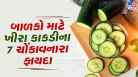બાળકોના વિકાસ માટે ખીરા કાકડીના ચોંકાવનારા ફાયદા તમે નહીં જાણતા હોવ.. બાળકોના વિકાસ માટે ખીરા કાકડીના ચોંકાવનારા ફાયદા તમે નહીં જાણતા હોવ..