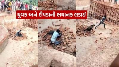 ખતરનાક ડેરિંગ.. યુવકે દીપડા સાથે બાથ ભીડી, હુમલામાં રેન્જર અને વન અધિકારી સહિત પાંચ લોકો ઘાયલ, જુઓ Video