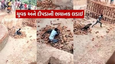 ખતરનાક ડેરિંગ.. યુવકે દીપડા સાથે બાથ ભીડી, હુમલામાં રેન્જર અને વન અધિકારી સહિત પાંચ લોકો ઘાયલ, જુઓ Video