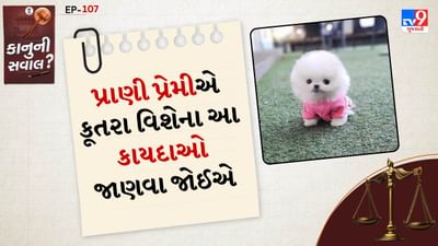 કેન્દ્ર સરકારનો કોઈ સ્પષ્ટ કાયદો નથી: સૌ પ્રથમ એ સમજવું મહત્વપૂર્ણ છે કે ભારતમાં પાલતુ પ્રાણીઓની સંખ્યા અંગે કોઈ કેન્દ્રીય કાયદો નથી. એટલે કે કોઈ વ્યક્તિ પોતાના ઘરમાં કેટલા કૂતરા રાખી શકે તે અંગે આખા દેશ માટે કોઈ એકસમાન નિયમ નથી. જો કે આ અધિકાર સંપૂર્ણપણે નાબૂદ થયો નથી. કારણ કે કેટલાક નિયમો અને માર્ગદર્શિકા સ્થાનિક મ્યુનિસિપલ કોર્પોરેશન, સમાજના ઉપનિયમો અને ભારતીય પશુ કલ્યાણ બોર્ડ (AWBI) દ્વારા નક્કી કરવામાં આવે છે.
