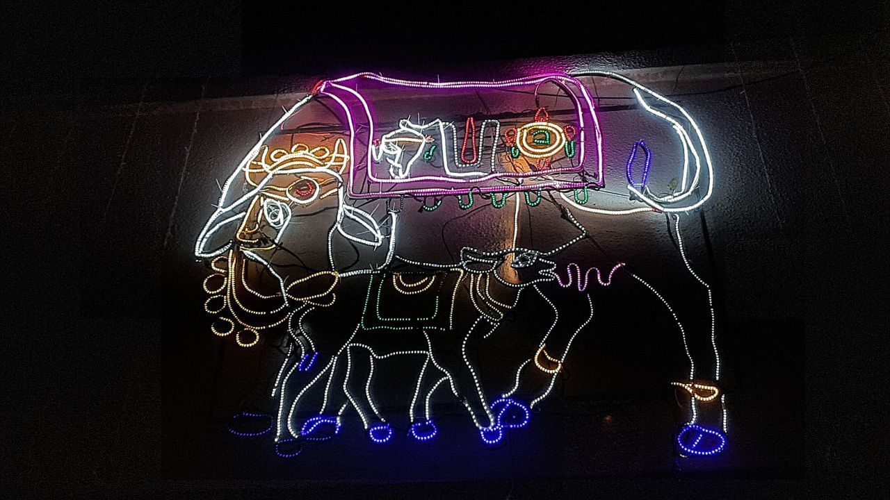 મંદિરના પ્રાંગણમાં દિવાલોને રોશની થી મઢી દેવામાં આવી છે. તેની સાથે ગૌમાતા અને વાછરડાની આકૃતિ લાઈટથી પણ ઉપસાવવામાં આવી છે.