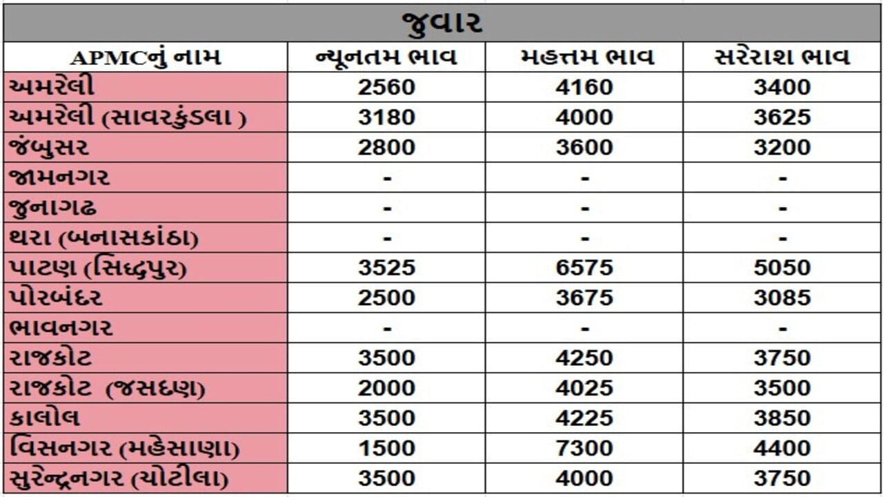 જુવારના તા.25-06-2025ના રોજ APMCના ભાવ રૂ.1500 થી 7300 રહ્યા.