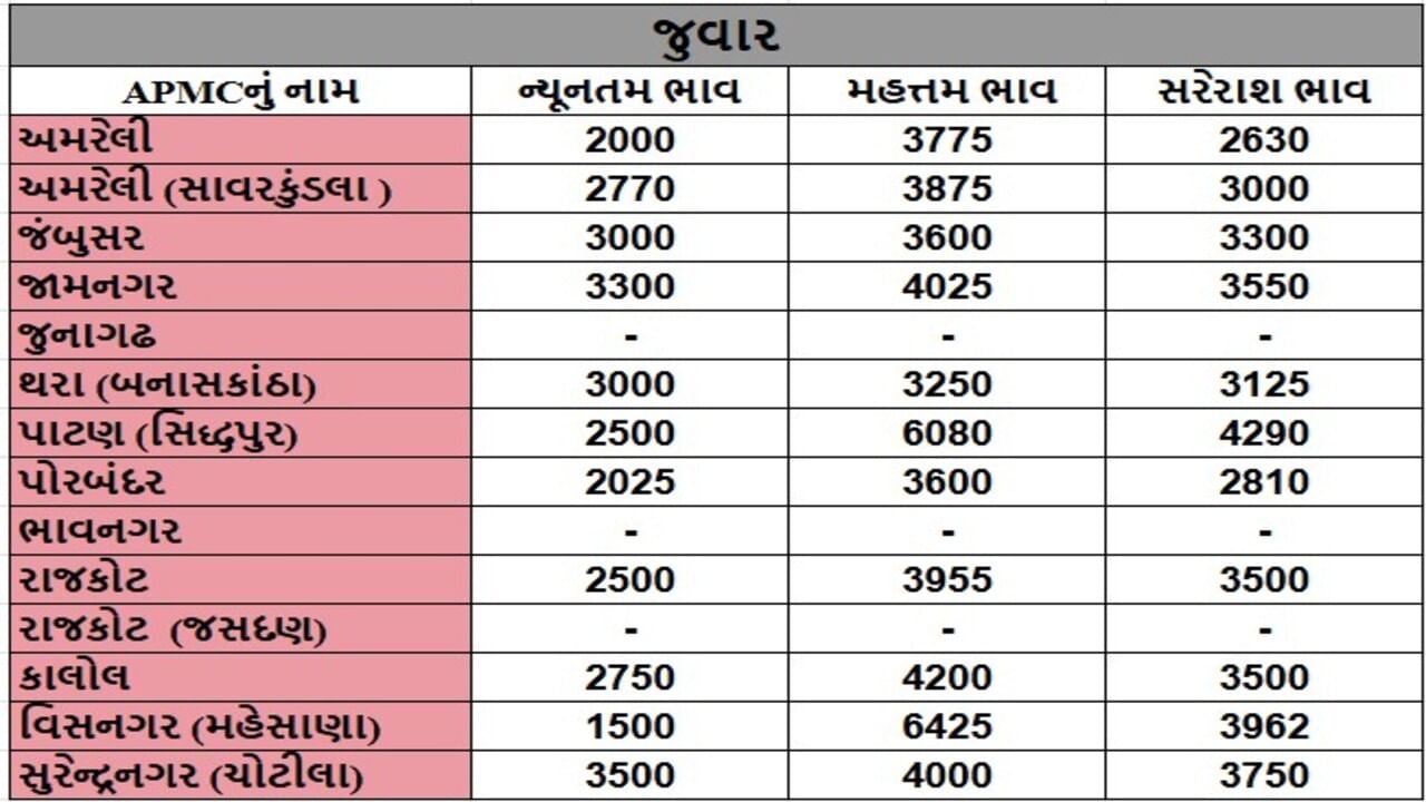 જુવારના તા.13-06-2025ના રોજ APMCના ભાવ રૂ.1500 થી 6425 રહ્યા.